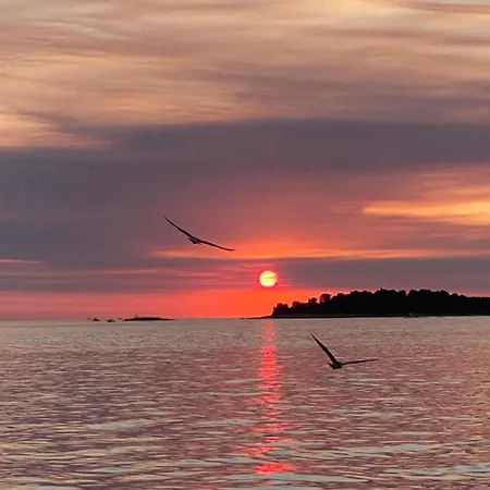 Figarola ゲストハウス ロヴィニ