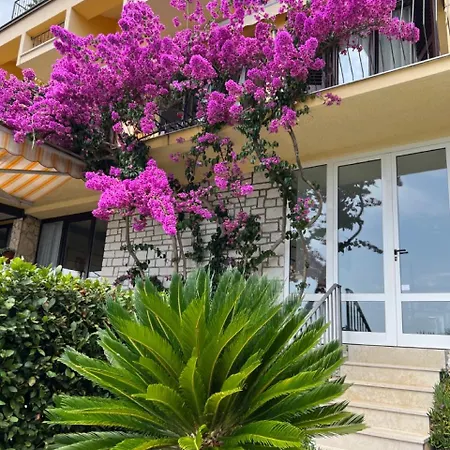 Figarola ゲストハウス