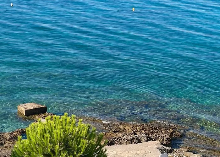 Figarola ゲストハウス