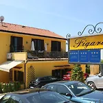 Figarola